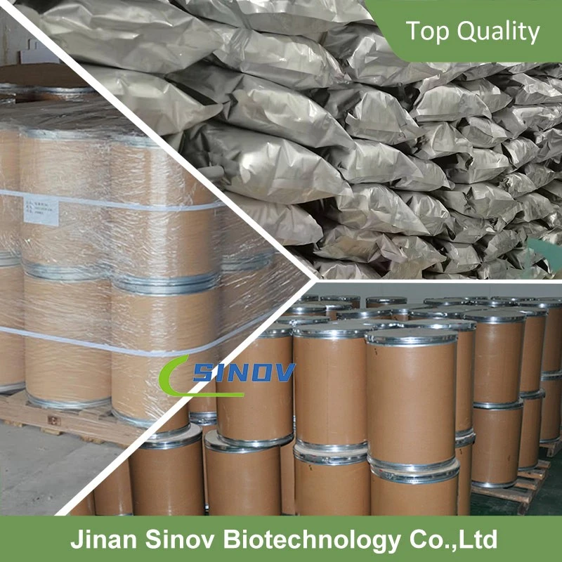 Griffonia Seed Extract Powder suppliers
