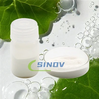 What is Chondroitin Sulfate Sodium Salt? What is Chondroitin Sulfate Sodium Salt?